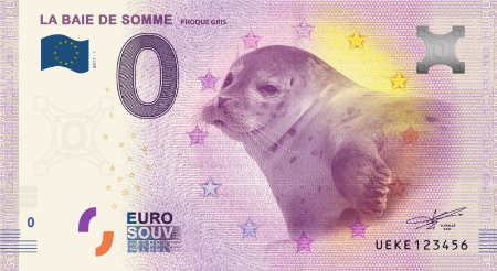 UEKE-2017-1 LA BAIE DE SOMME PHOQUE GRIS